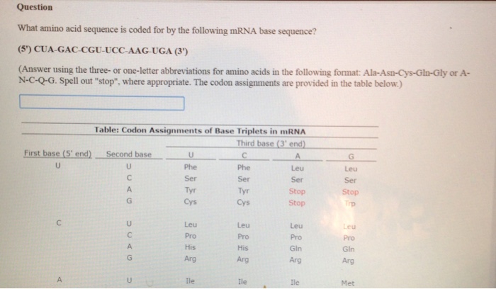 Solved Question What amino acid sequence is coded for by the | Chegg.com