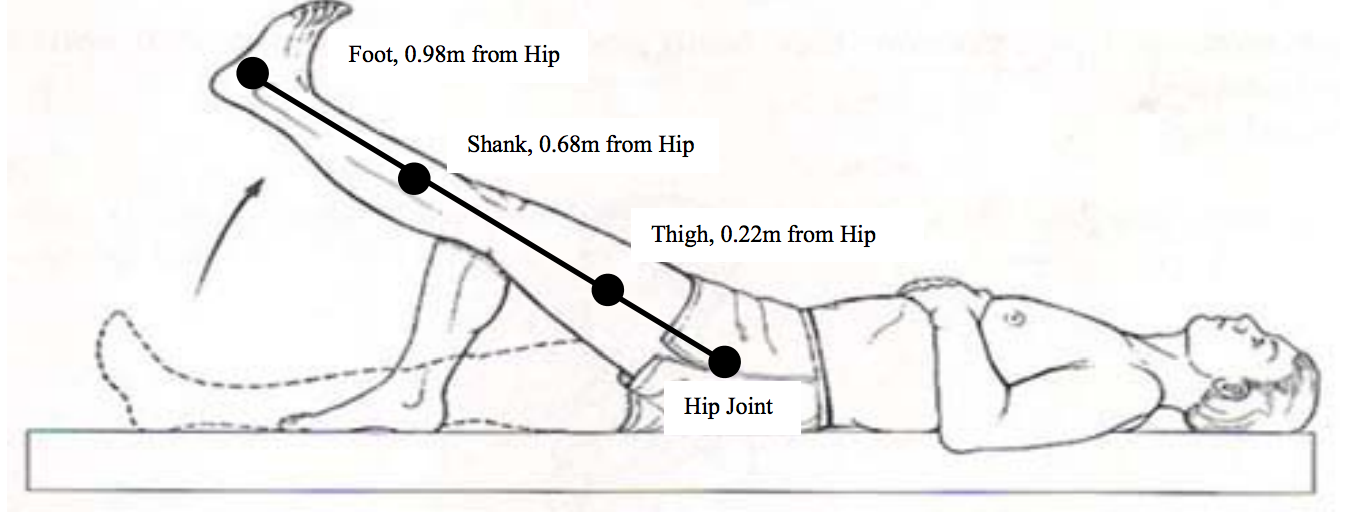 Solved You are helping a patient to strengthen their hip | Chegg.com