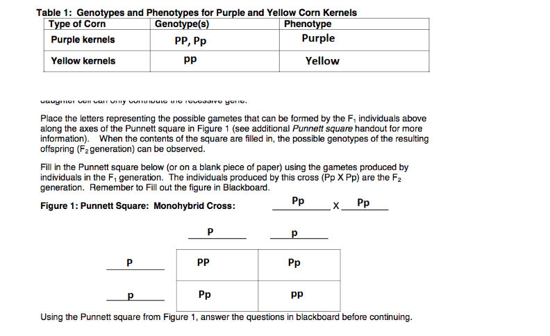 Phenotype And Genotype Table 1539