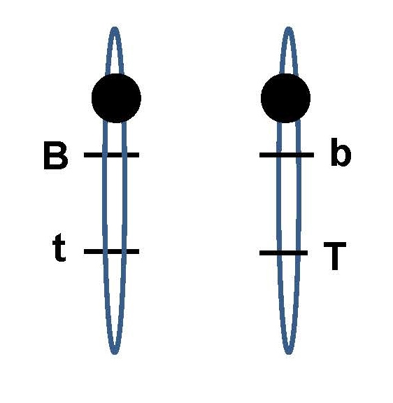 Solved In Petunias, The Blue Allele (B) Is Dominant To The | Chegg.com