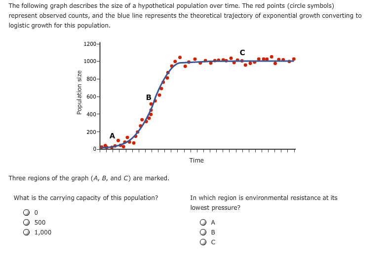 solved-the-following-graph-describes-the-size-of-a-chegg