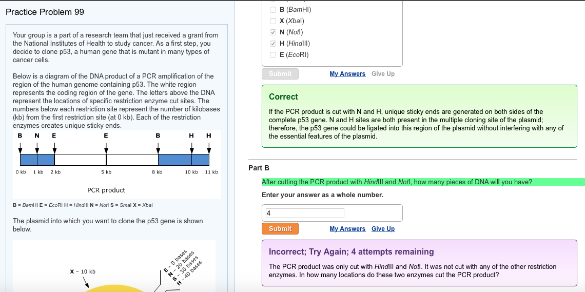Solved Practice Problem 99 Your group is a part of a | Chegg.com