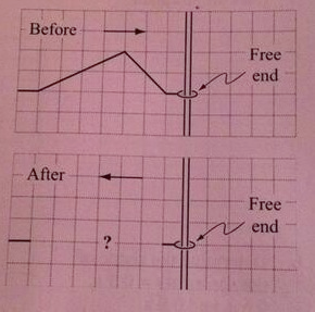 Solved Consider a pulse incident on the free end of a spring | Chegg.com