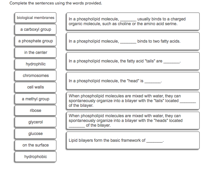 solved-complete-the-sentences-using-the-words-provided-chegg