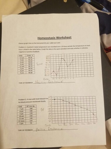 Homeostasis Worksheet With Answers