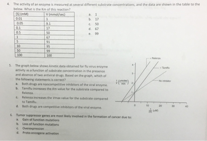 Solved The activity of an enzyme is measured at several | Chegg.com