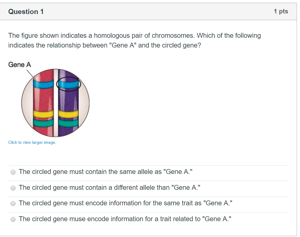 Solved Question1 1 pts The figure shown indicates a | Chegg.com