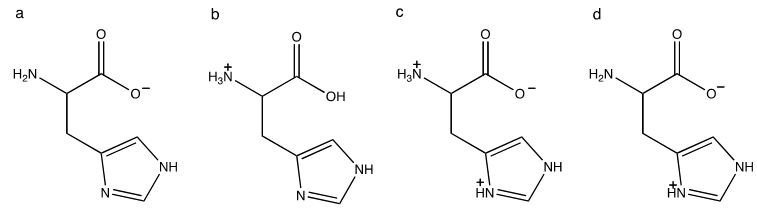 Histidine Structure