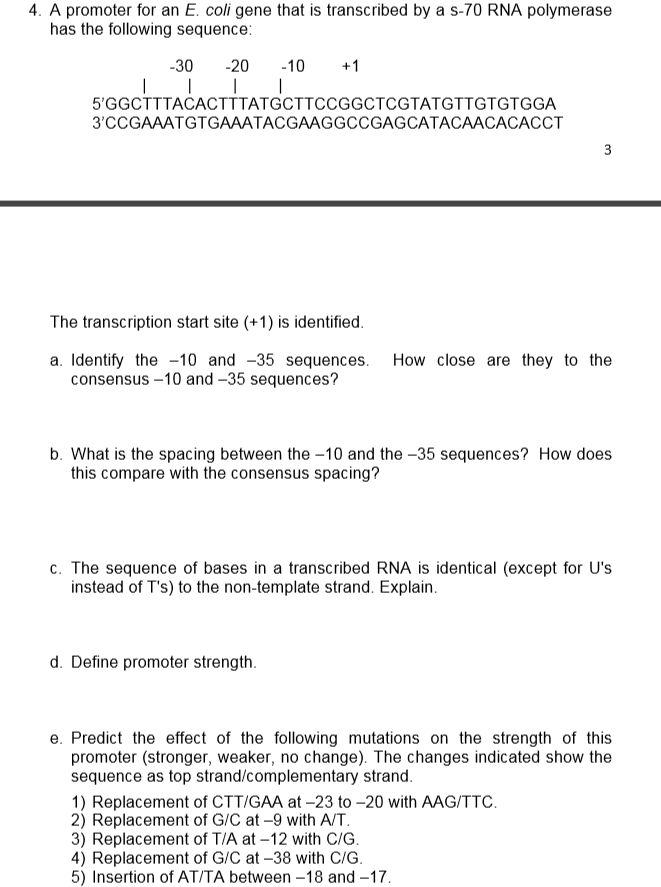 Solved 4. A promoter for an E. coli gene that is transcribed | Chegg.com