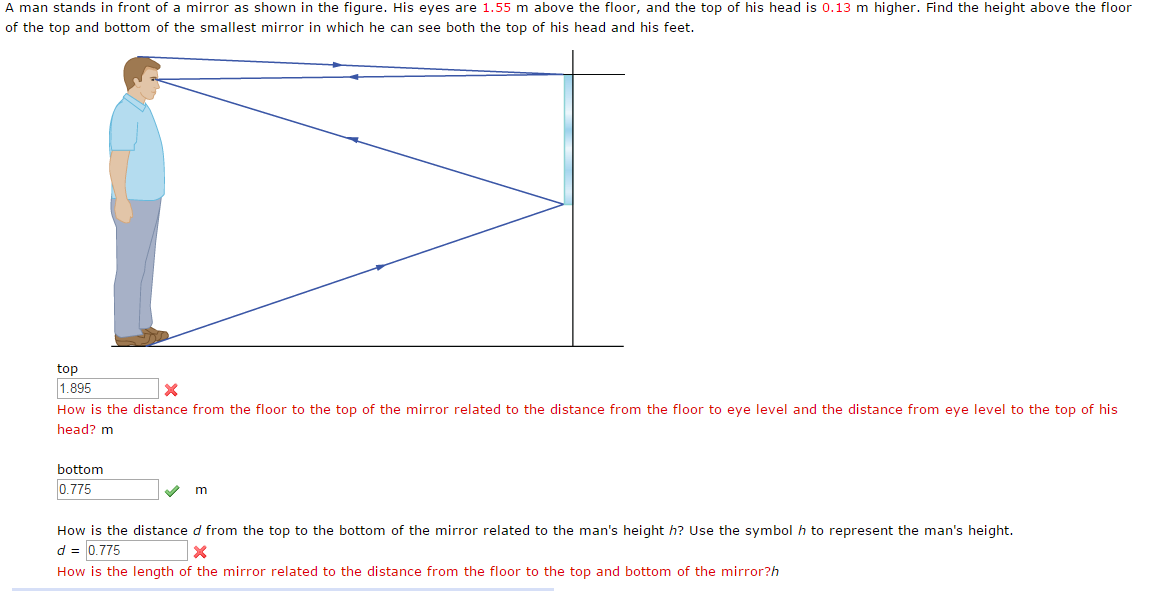 1.55 meter 2024 in feet