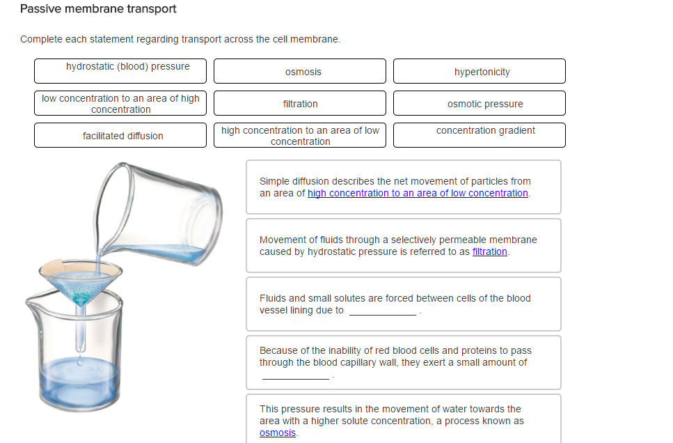 Solved Complete each statement regarding transport across