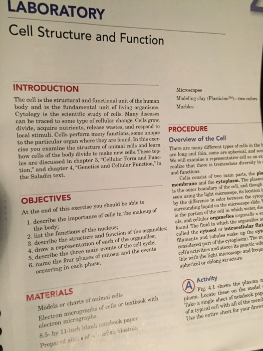 Solved: Formal Lab Report Format Biology 1A/1B Dr. Leslie | Chegg.com