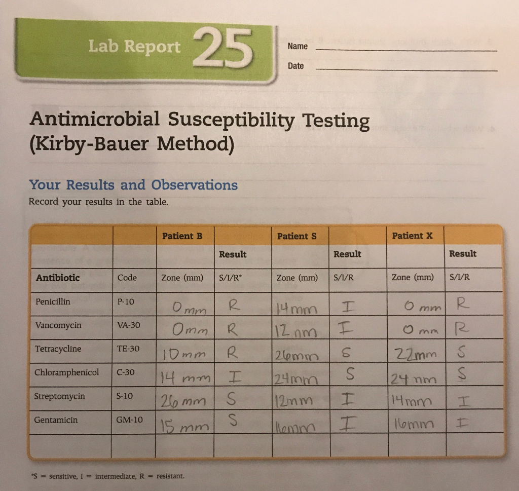 Solved Lab Report Name Date Antimicrobial Susceptibility | Chegg.com