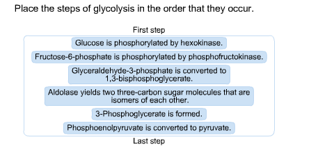 Solved: Place The Steps Of Glycolysis In The Order That Th... | Chegg.com