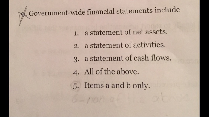 solved-government-wide-financial-statements-include-a-chegg