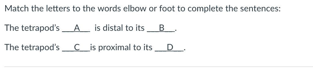 solved-match-the-letters-to-the-words-elbow-or-foot-to-co-chegg