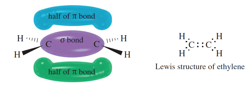 Solved Why does a combination of one sigma bond and one pi Chegg