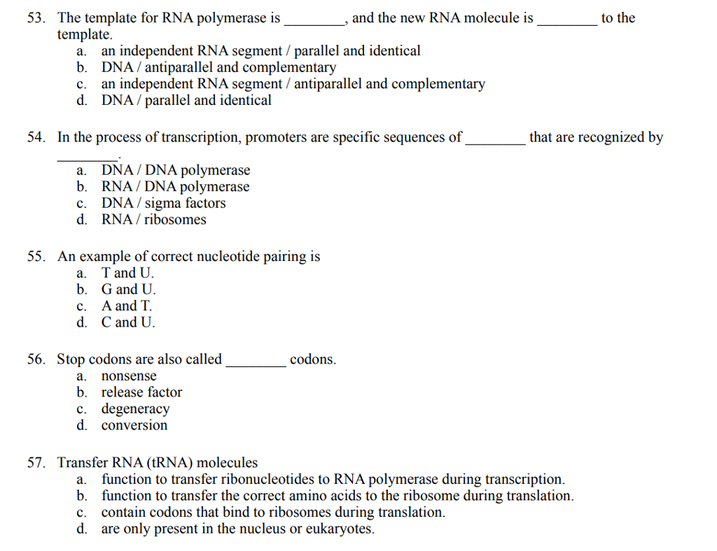 Solved 53. The template for RNA polymerase is and the new | Chegg.com