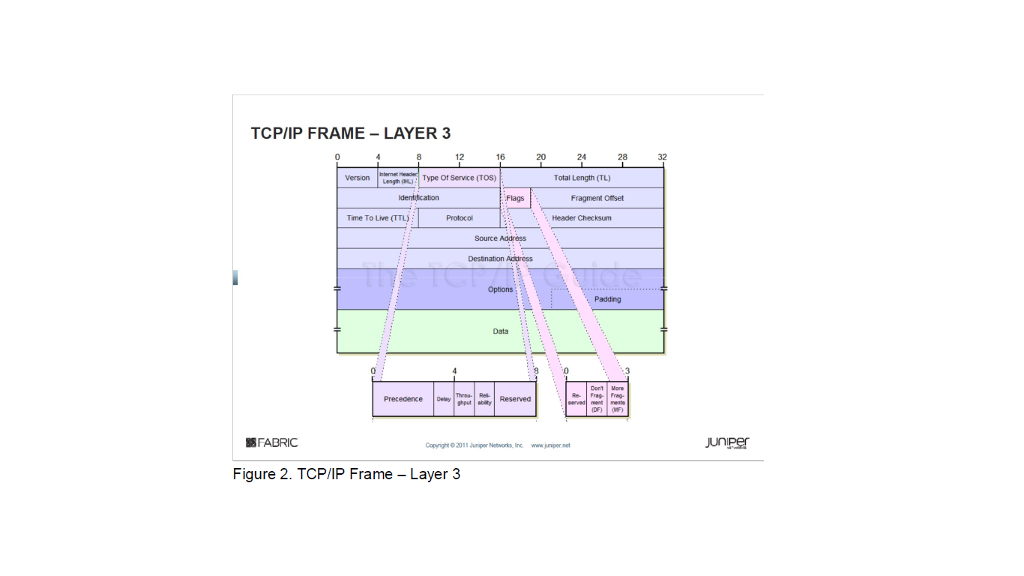 Solved Figure 2 provides the TCP/IP Frame – Layer 3 fields. | Chegg.com