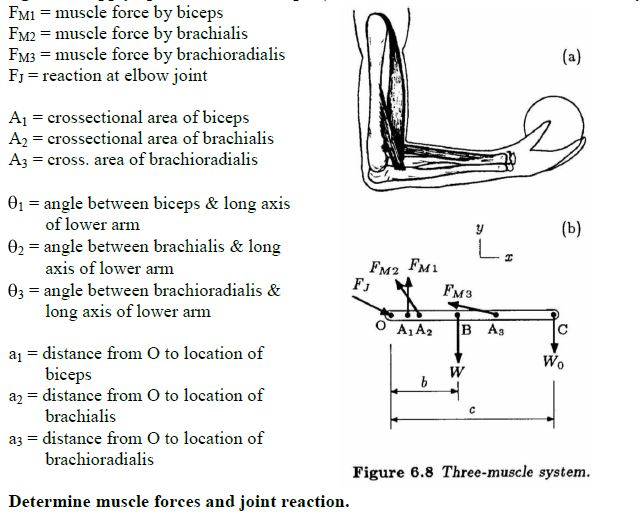 Solved F_M1 = muscle force by biceps F_M2 = muscle force by | Chegg.com