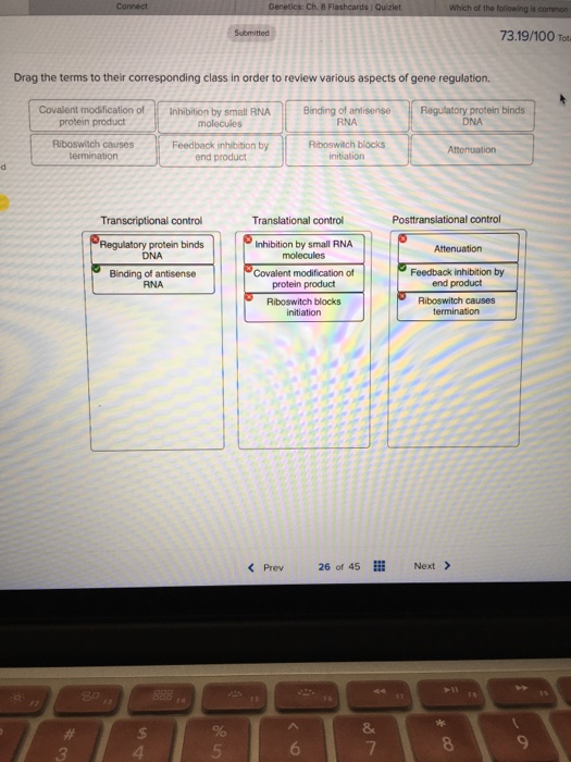 Solved Drag the terms to their corresponding class in order