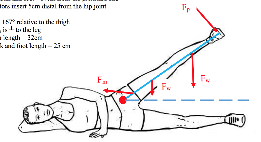 2. The practitioner wants to measure how strong the | Chegg.com