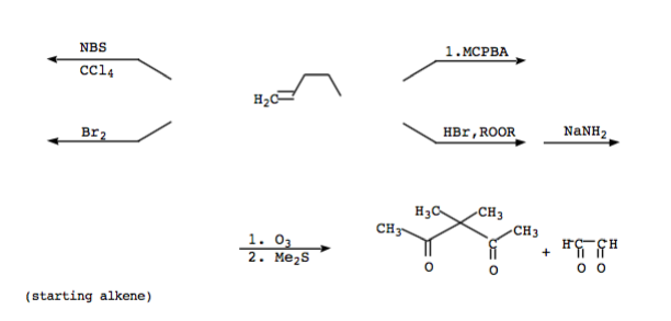 Solved NBS 1.MCPBA CC14 H20 Br HBr, ROOR NaNH2 CH3 CH CH3 1. | Chegg.com