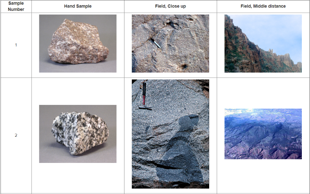 Solved Sample Number Hand Sample Field, Close up Field, | Chegg.com