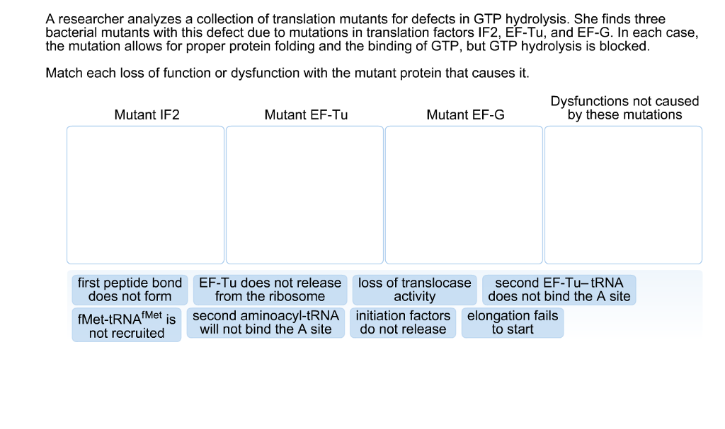 Solved A researcher analyzes a collection of translation | Chegg.com