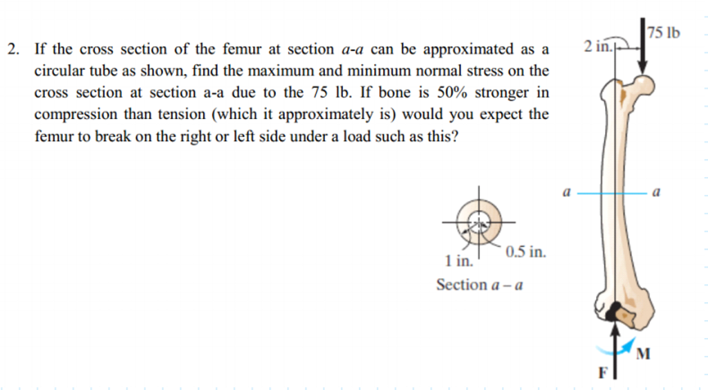 Solved If the cross section of the femur at section a-a can | Chegg.com