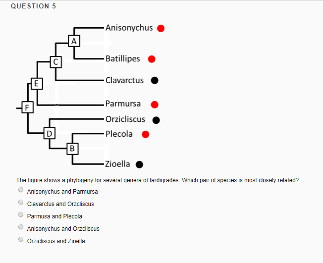 Solved The figure shows a phylogeny for several genera of | Chegg.com