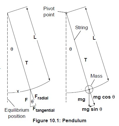 Solved Pivot point String Mass F radial mg | \mg cos θ | Chegg.com