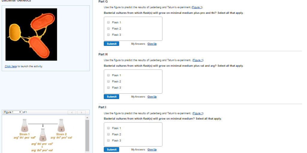 Solved Use the figure to predict the results of Lederberg