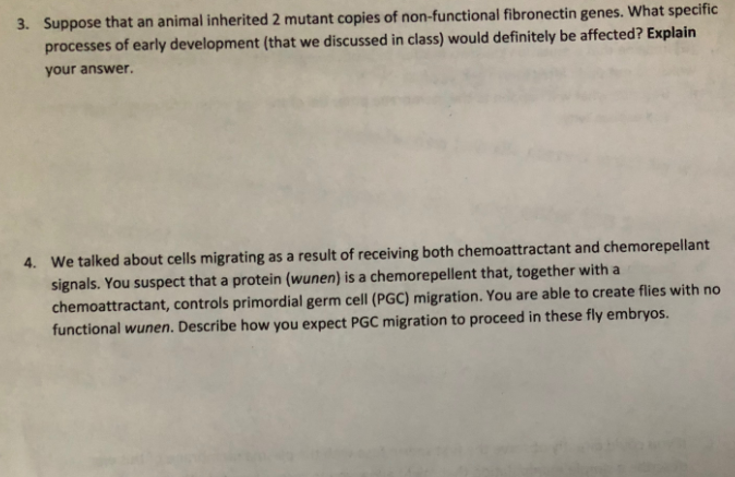 Solved CL: Development 1 1. (G) Imagine that a mutation | Chegg.com