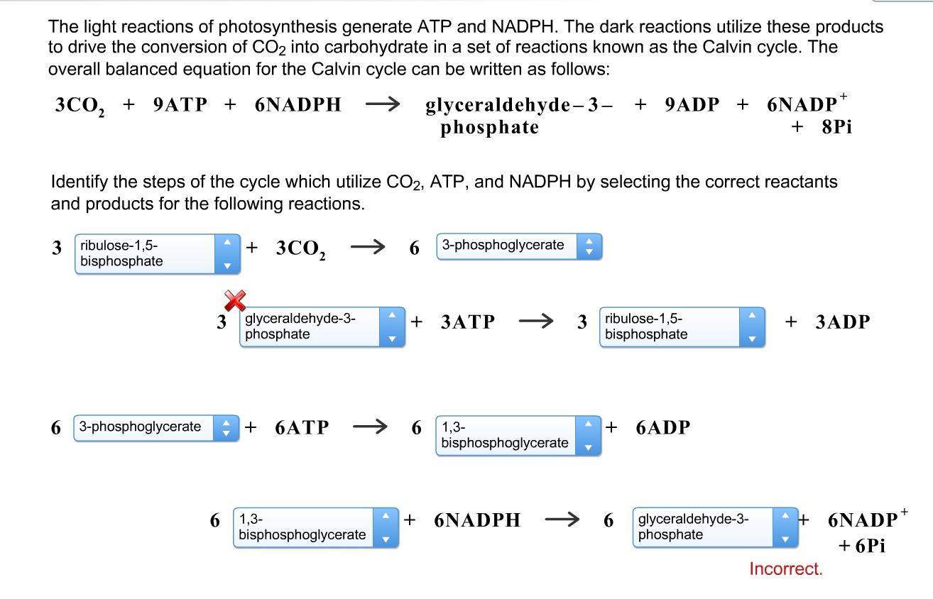 how-is-atp-involved-in-photosynthesis-wasfa-blog