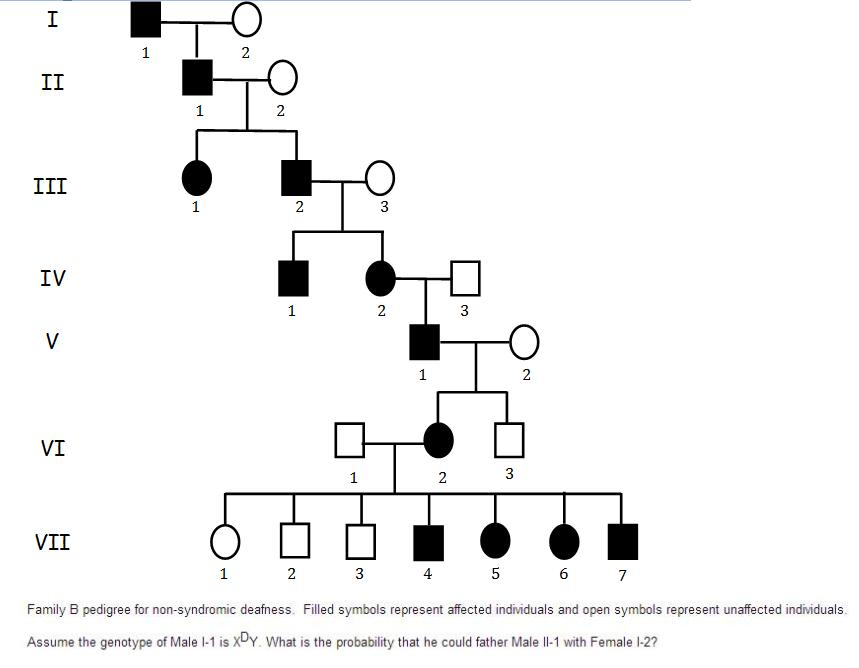 Solved Family B Pedigree for non-syndromic deafness. The | Chegg.com