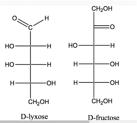 Solved HO HO H OH CH2OH D-lyxose HO CH2OH OH OH CH20H | Chegg.com