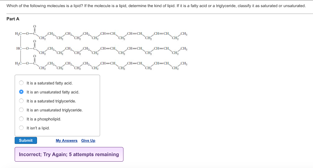 Solved Which of the following molecules is a lipid? If the | Chegg.com