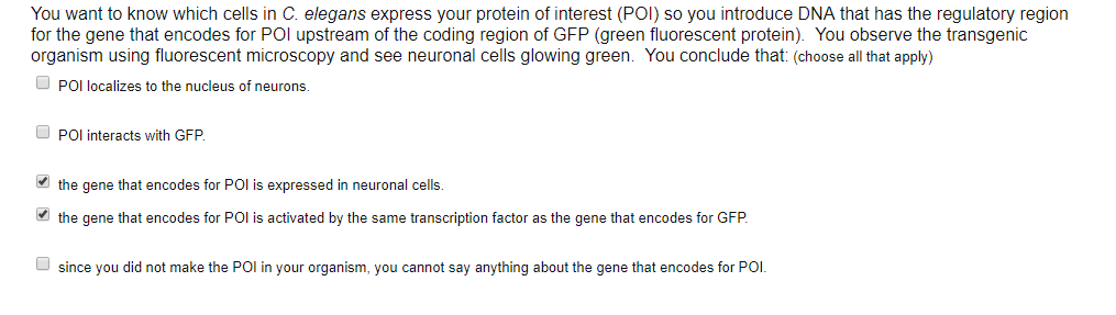 Solved You want to know which cells in C. elegans express | Chegg.com
