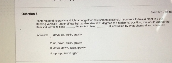 Solved Question 4 0 out of 10 points If you look at the more | Chegg.com