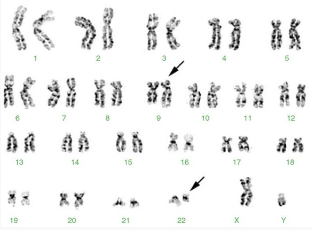 Solved How would you designate the structures indicated by | Chegg.com