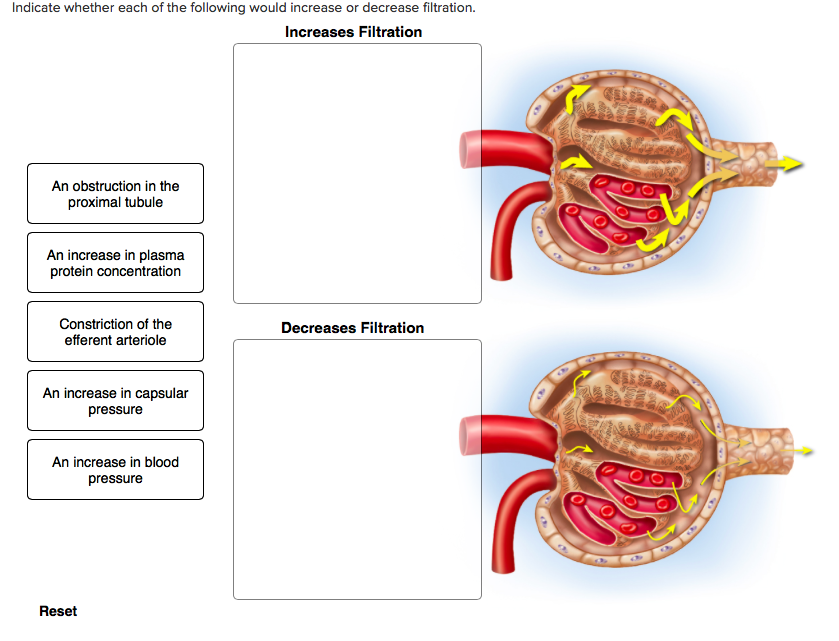 Solved Question 1 a) Indicate whether each of the folowing