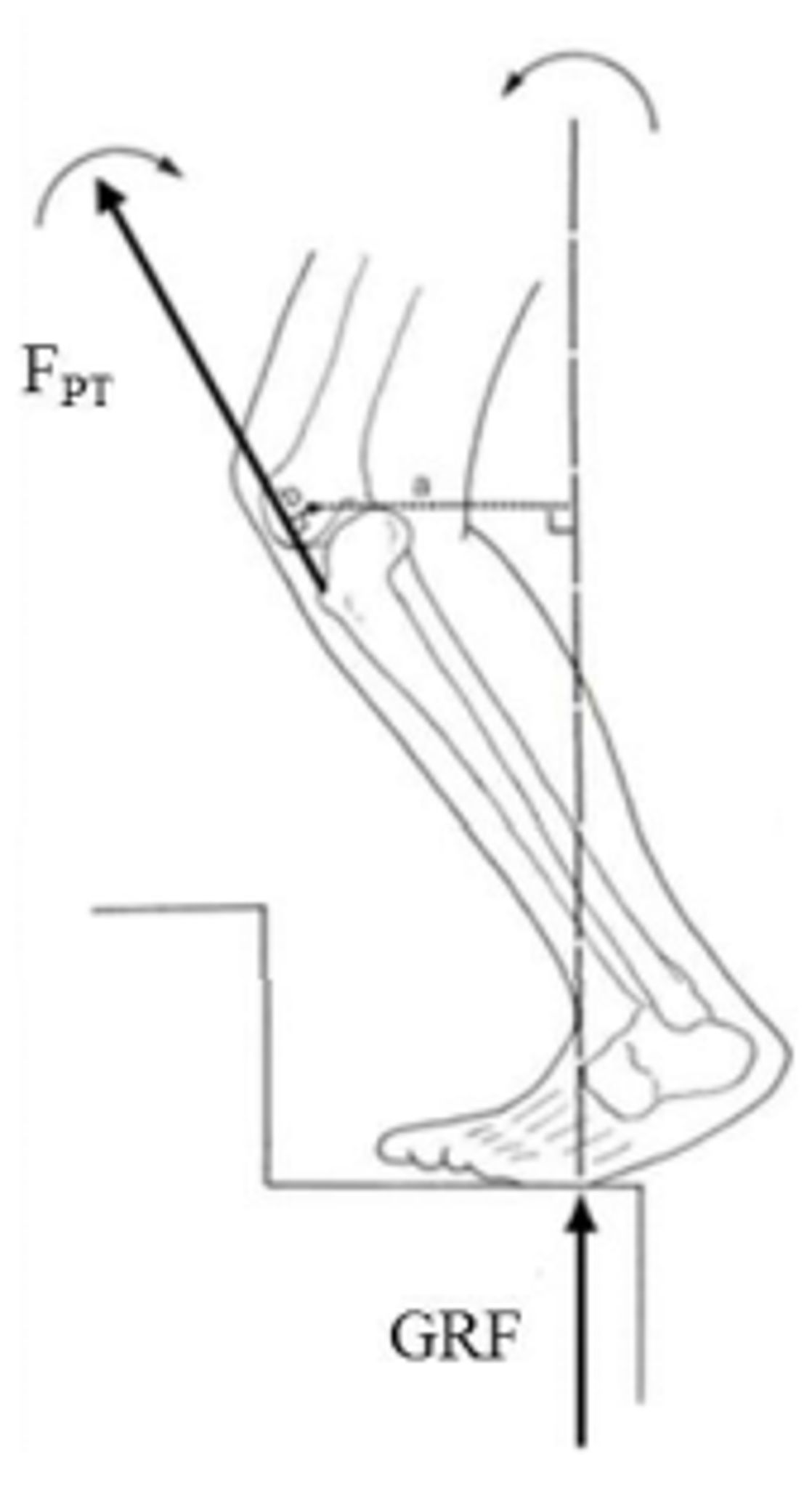 Solved When walking up the stairs, Dr. Weinhandl’s knees