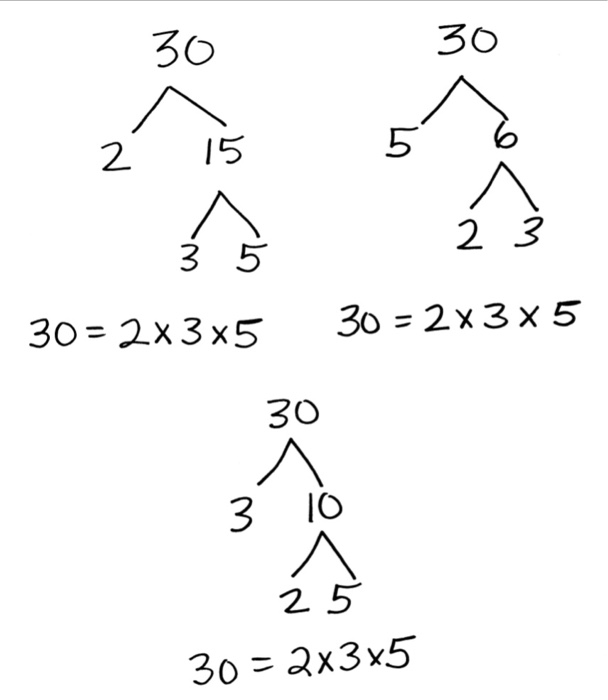 Solved 3CD 30 5 6 2 15 2 3 5 30- 2x3x5 30 x 3 x 5 3O 2.5 30 | Chegg.com