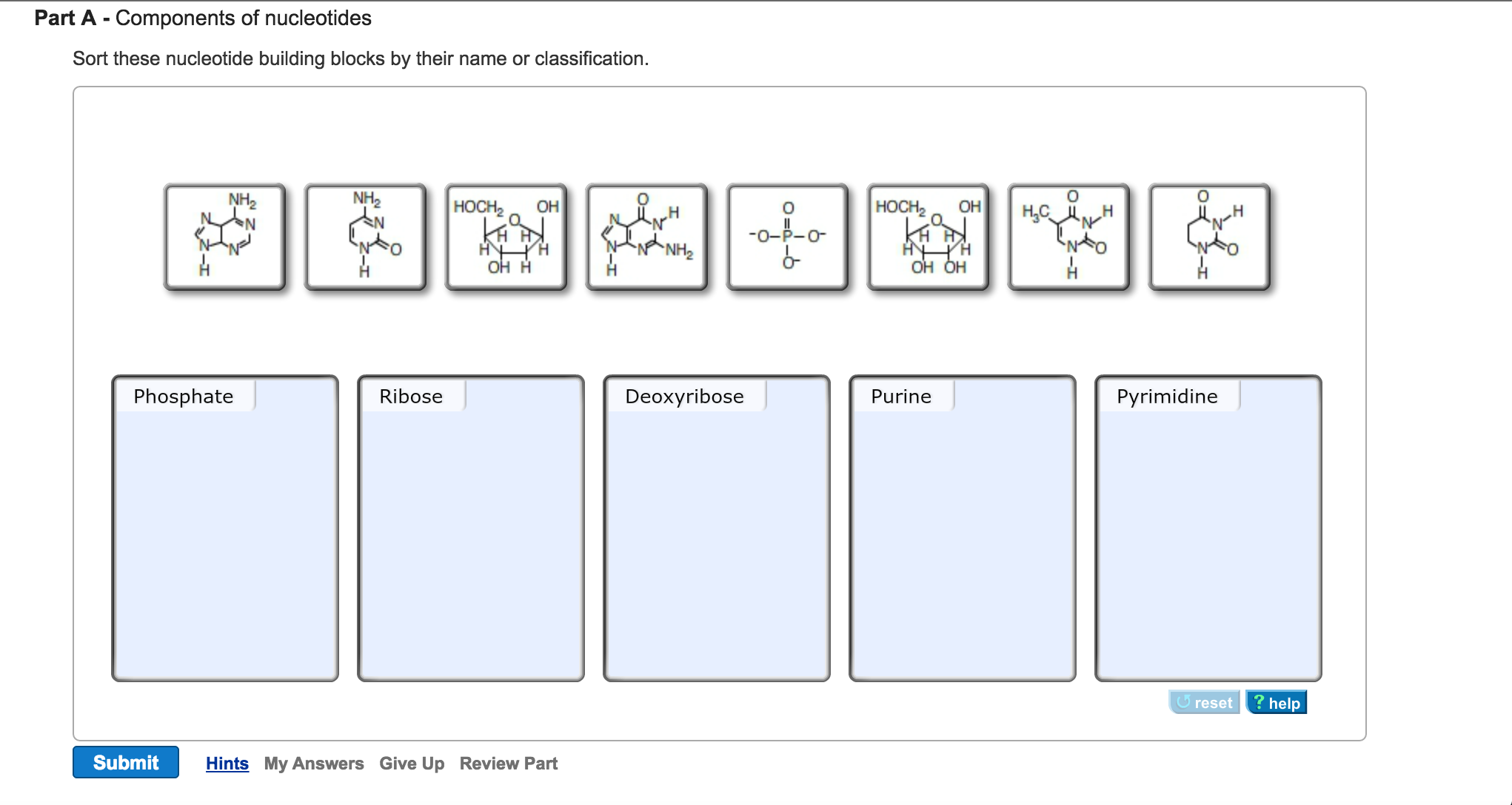 Solved Components of nucleotides Sort these nucleotide