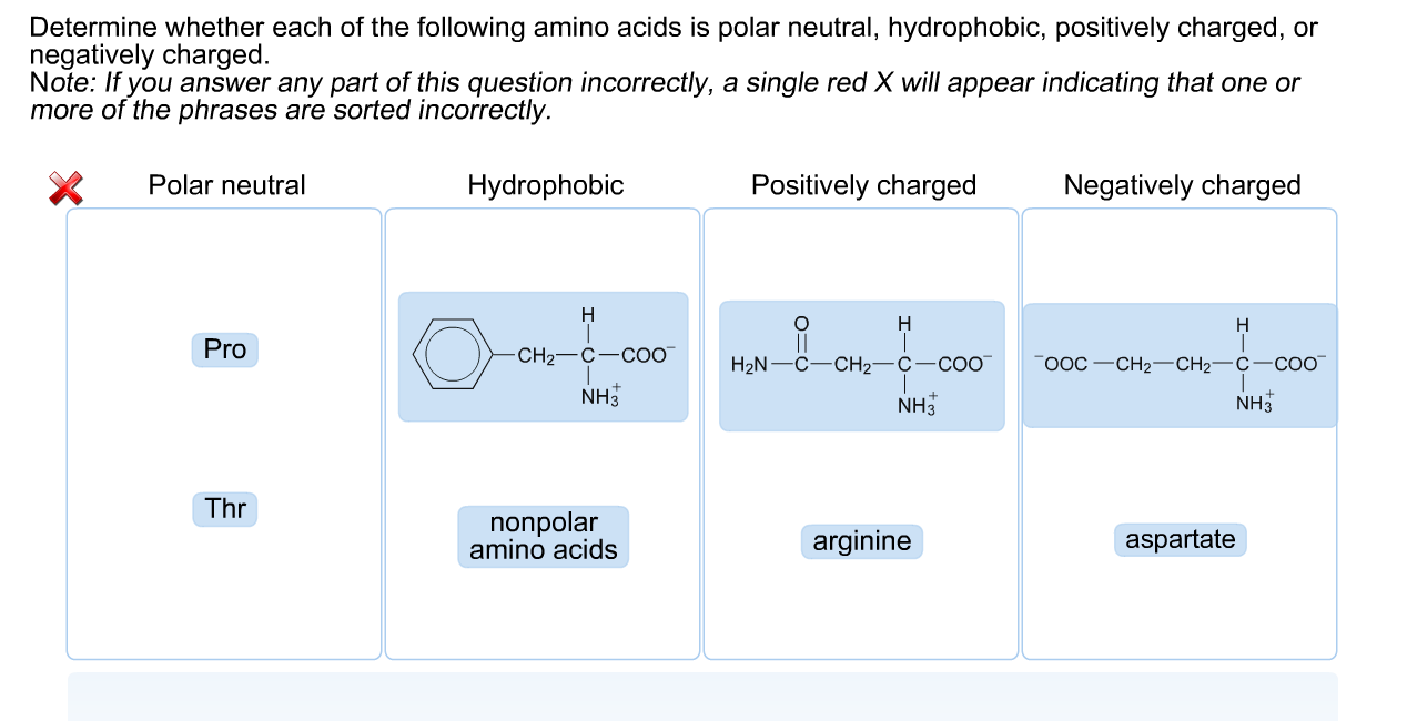 Solved Determine whether each of the following amino acids