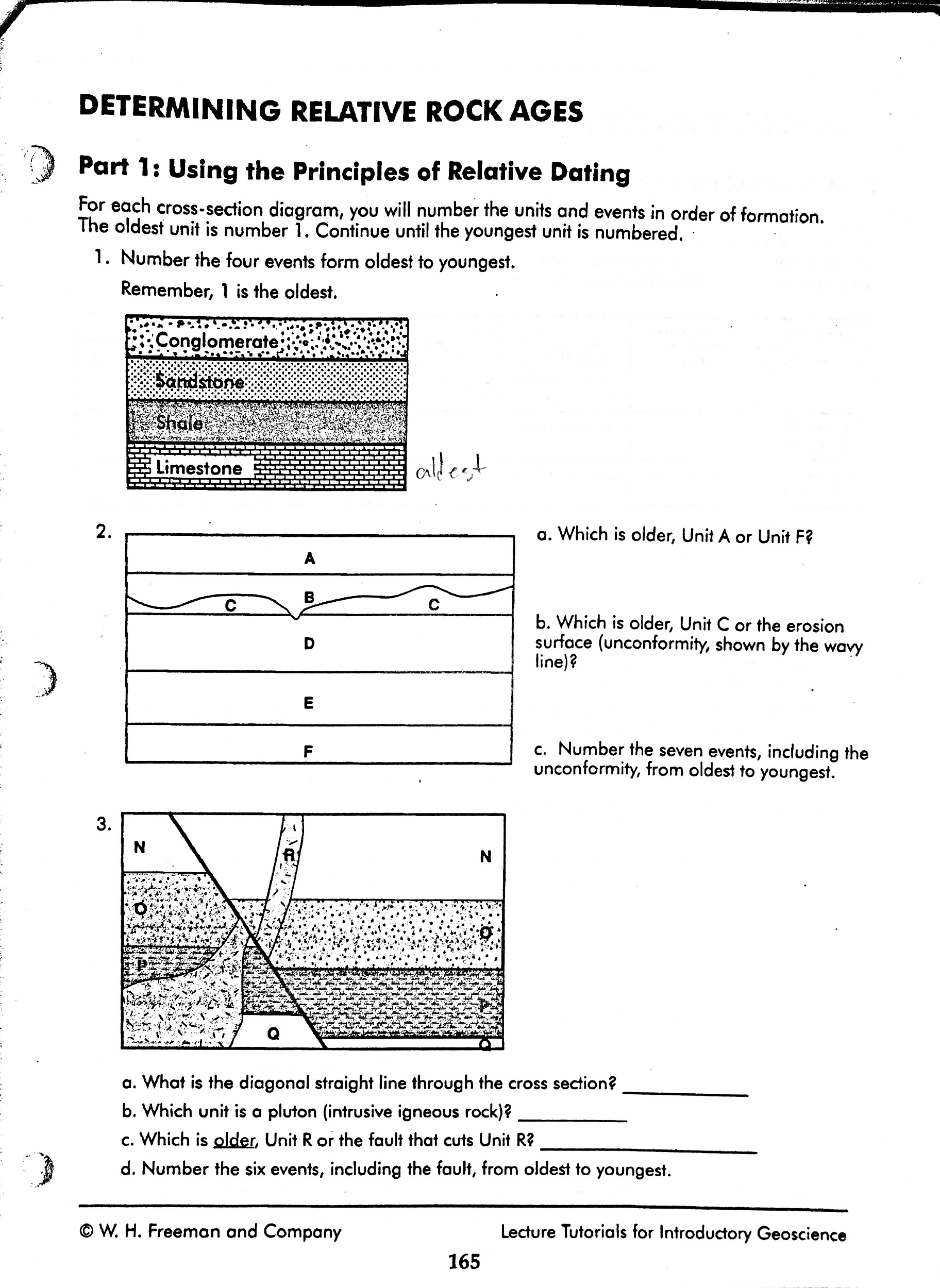 Relative Dating Exercise Answers : Relative Dating Worksheet Answer Key