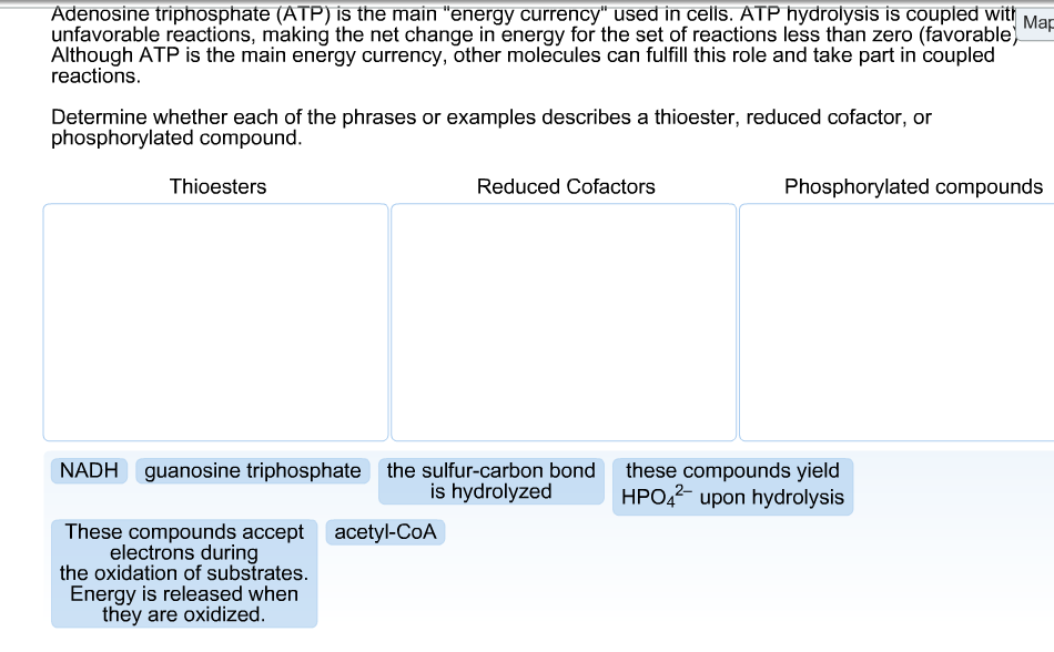 Solved Adenosine triphosphate (ATP) is the main ''energy | Chegg.com