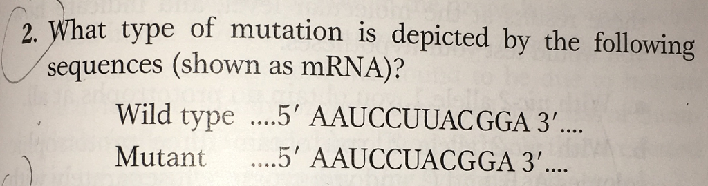 Solved 2What type of mutation is depicted by the following | Chegg.com