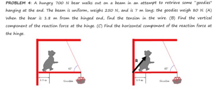 Solved A hungry 700 N bear walks out on a beam in an attempt | Chegg.com